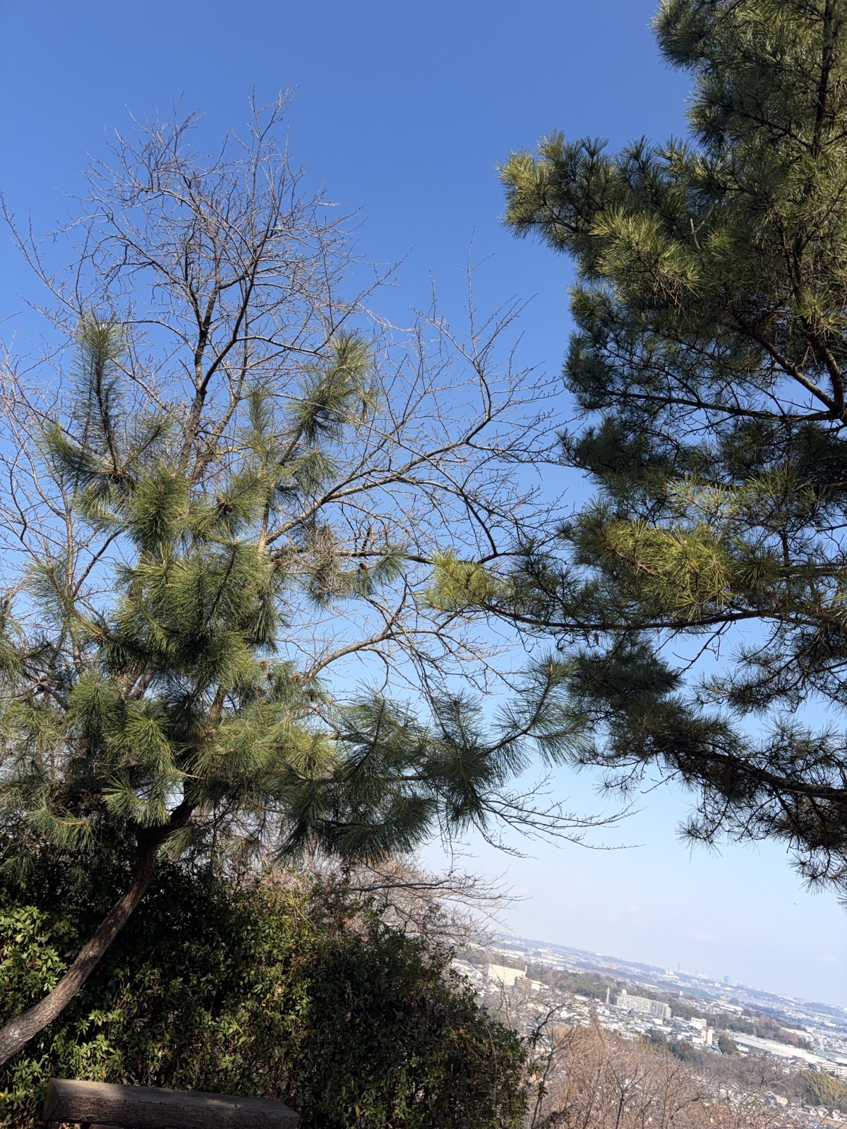 Summit view from Takamatsu-yama