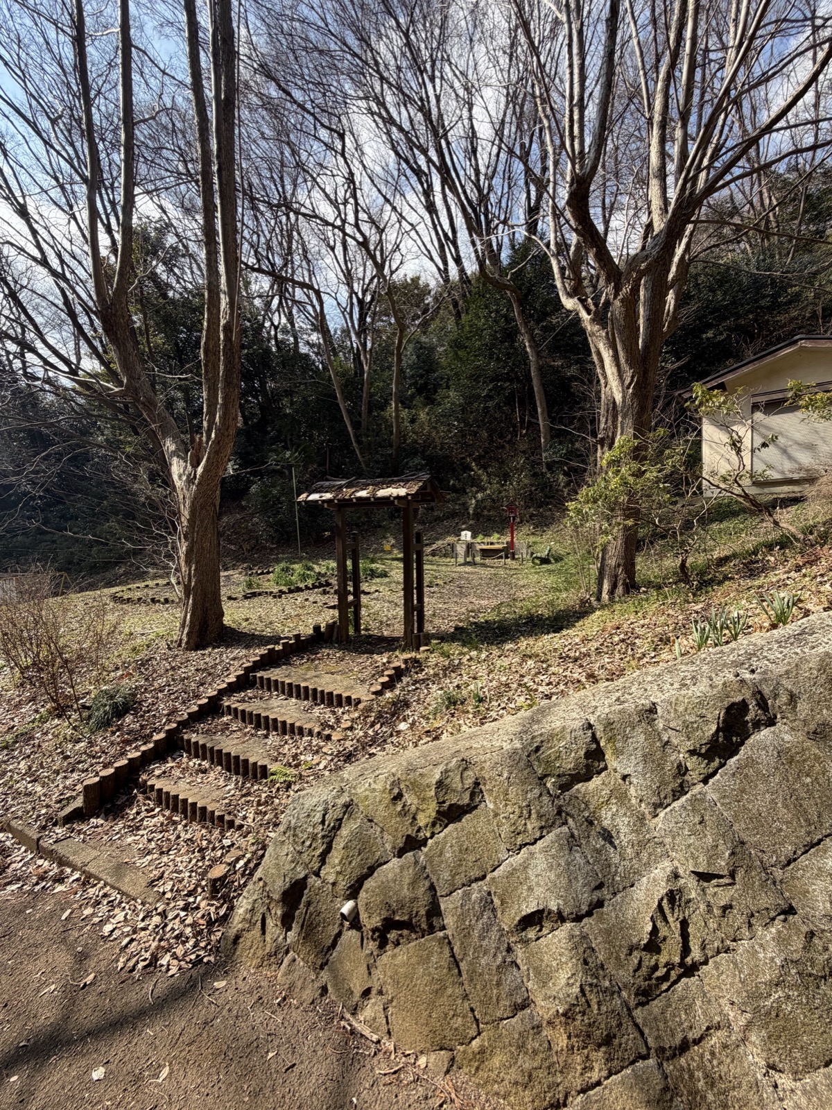 Stone steps and path near Komachi Shrine