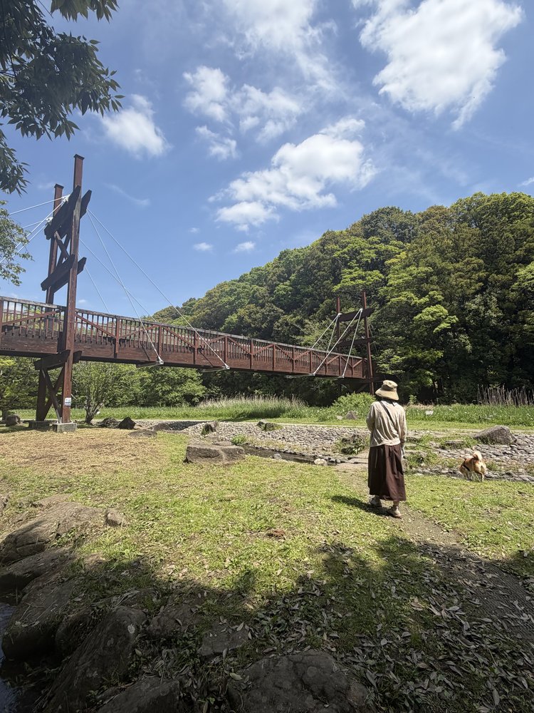 泉の森の吊り橋