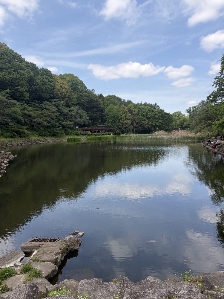 Calm pond reflecting the sky at Izumi no Mori Yamato City Kanagawa