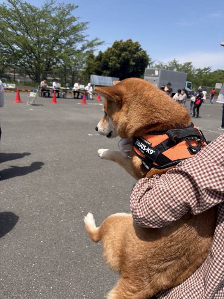 Momiji getting nervous as our turn approaches.