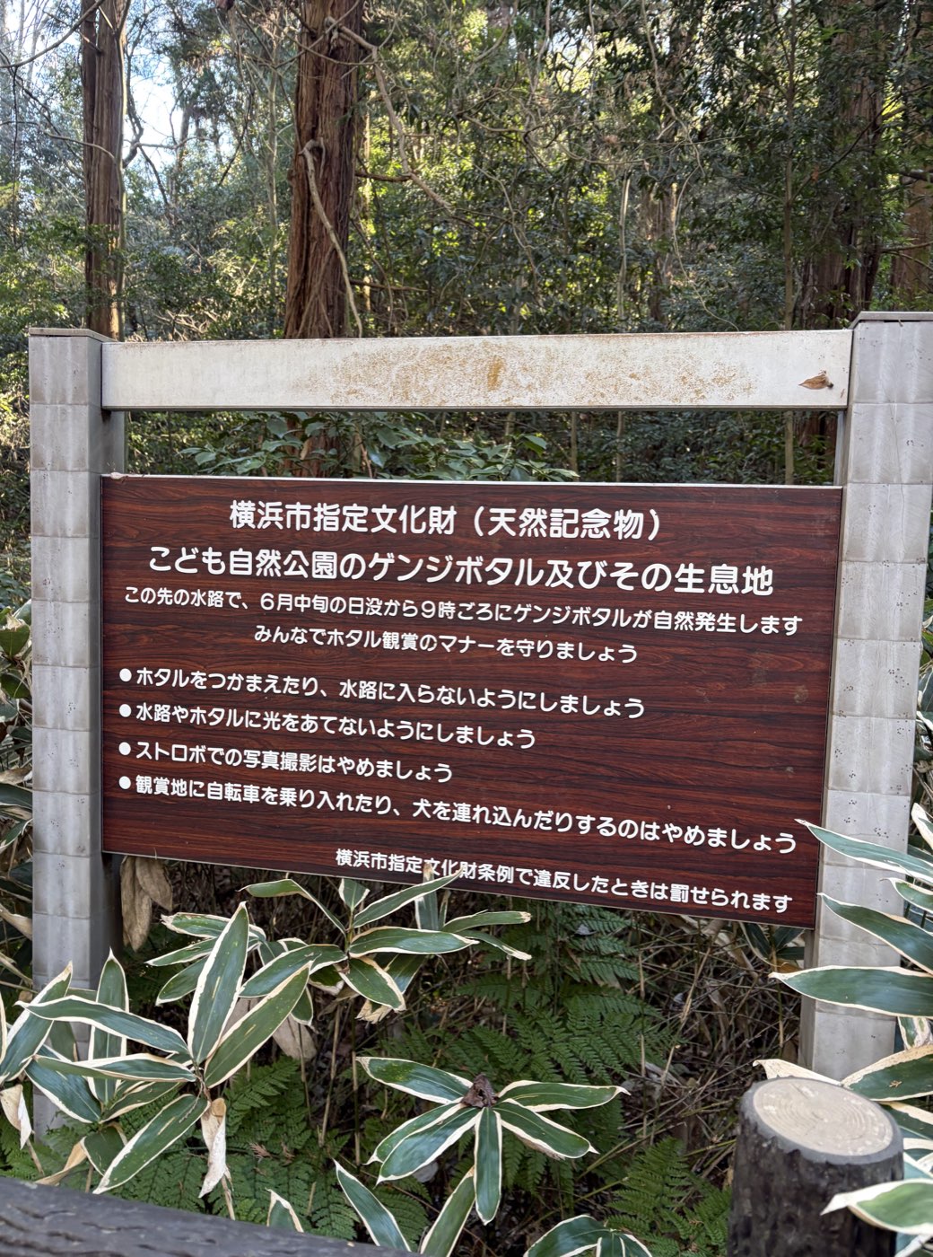 Signboard and restricted area fence around the firefly habitat waterway