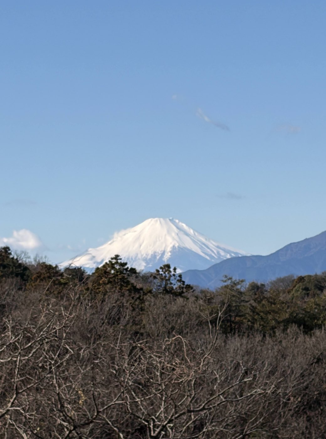 こども自然公園から見える雪をかぶった富士山