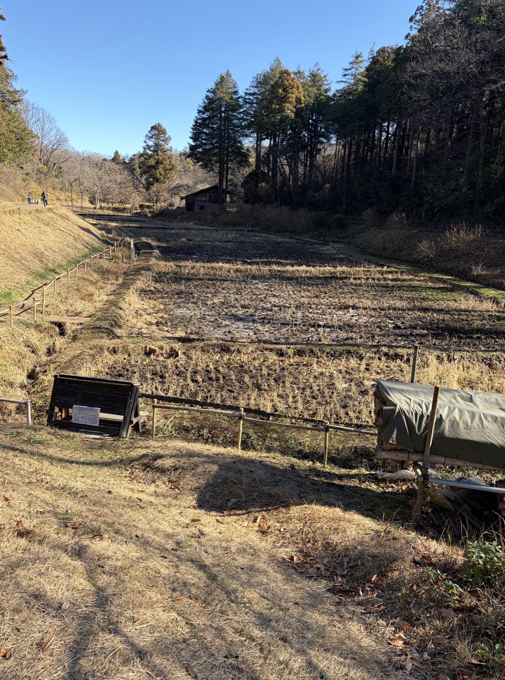Educational rice paddy and fence near the firefly waterway at Kodomo Shizen Park